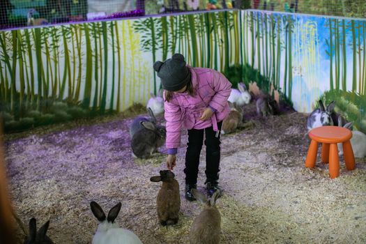 Child feeding rabbits in summer park. High quality photo