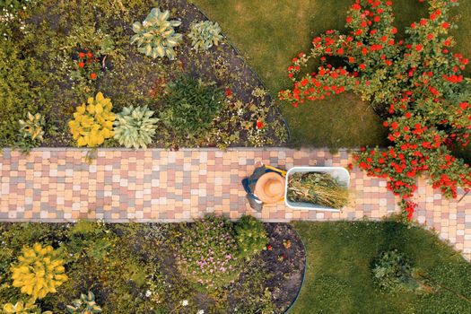 A young man with hands in gloves is carrying a metal garden cart through his beautiful green blooming garden. A professional gardener is carrying a wheelbarrow on a garden path