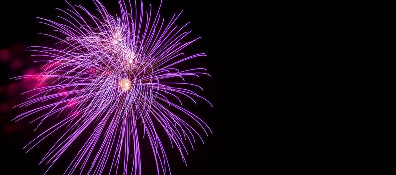 Flash of violet fireworks on background black sky. Concept of holiday. Close-up, banner, copy space.