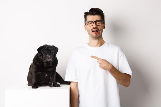 Upset crying man pointing at cute black pug and sobbing, complaining on his pet, standing sad against white background.