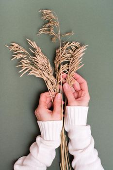 Female hands gently touch the ears of dry grass on a green background. vertical view