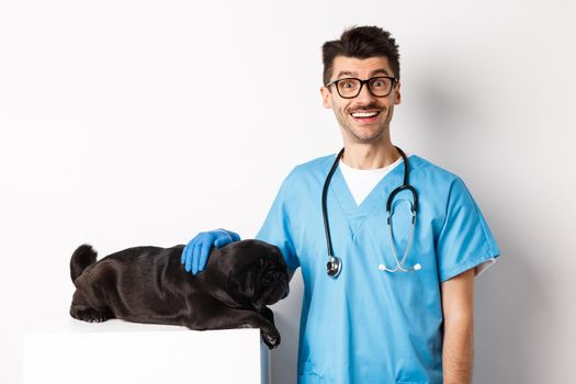 Handsome smiling vet doctor petting cute small dog pug and looking happy at camera, examining puppy at veterinary clinic, standing over white background.