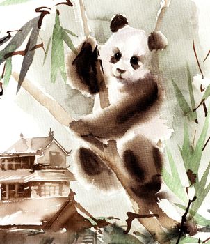 Watercolor and ink illustration of panda bear on the eucaliptus tree. Oriental traditional painting by ink and watercolor in sumi-e style.