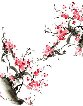 Watercolor and ink illustration of blossom sakura tree with pink flowers. Oriental traditional painting by ink and watercolor in sumi-e style.