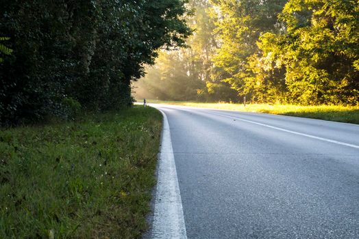 The road, which at the bend is illuminated by sunlight. It represented inspiration, God's apparitions, enlightenment