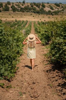 a young beautiful girl in a white dress and hat is walking through a vineyard.