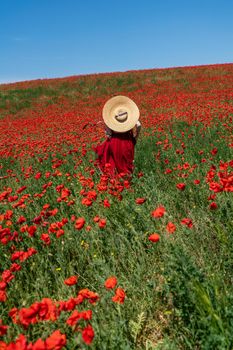 Young woman stands with her back in a long red dress and hat, posing on a large field of red poppies.