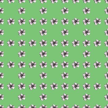 Seamless Pattern with Hand-Drawn Flower. Light Green Background with Thin-leaved Marigolds for Print, Design, Holiday, Wedding and Birthday Card.