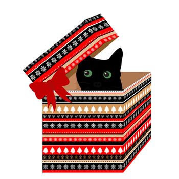 Gift box for Christmas with black cat in it
