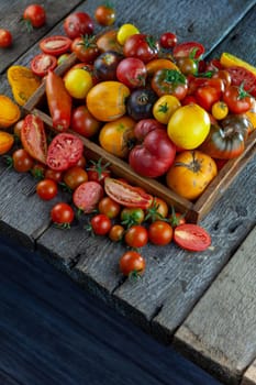 Tomatoes of different varieties and colors top view. Layout on a wooden background.