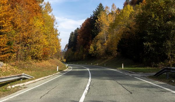 driving on asphalt road in autumn yellow forest. High quality photo