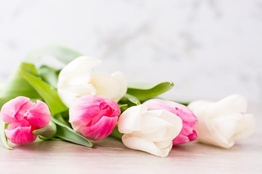 A bouquet of white and pink tulips with green leaves lies on the table. Selective focus. Delicate postcard