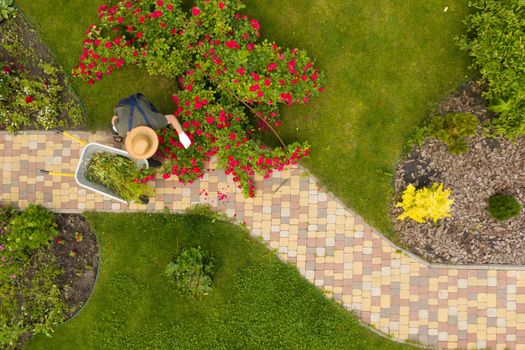 A young man with hands in gloves is carrying a metal garden cart through his beautiful green blooming garden. A professional gardener is carrying a wheelbarrow on a garden path