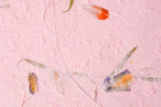 mulberry paper with red and yellow flower petal and seed texture background and wallpaper