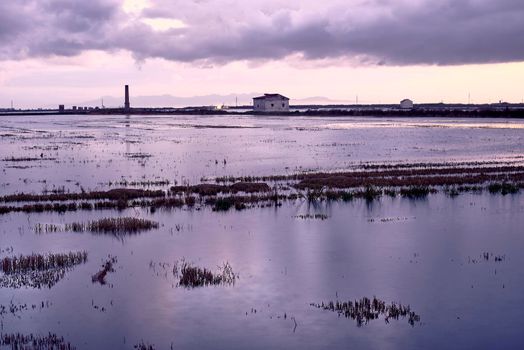 Flooded rice field for sowing with clouds, Albufera Valencia, storm, sunset, typical houses, solitary. Grey sky