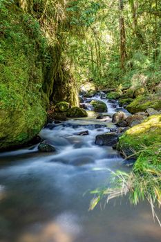 Long exposure of small wild mountain river Rio Savegre. Stunning landscape of wilderness and pure nature. San Gerardo de Dota, Costa Rica.