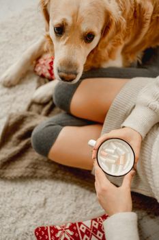 Girl holding mug with cocoa and marshmallow and golden retriever dog lying close to her in winter time. Young woman with hot beverage and pet doggy at home with cozy atmosphere