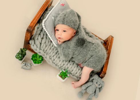 Newborn baby boy wearing knitted costume and hat lying in tiny bed with bunny toy. Cute infant child kid studio portrait