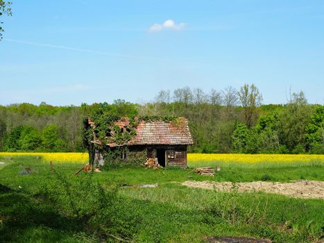 An old, half-dilapidated and no longer inhabited wooden house on a lush green meadow.