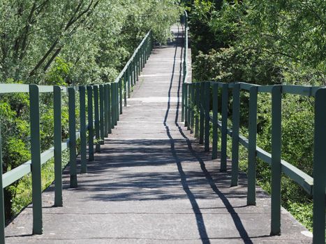 A long narrow bridge between green bushes.