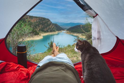 Man with his lovely cat resting in tent in nature. Hiking with pet. Cat and his owner having great time together. Lifestyle and friendship. High quality photo
