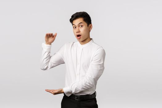 Curious and surprised handsome asian young guy consulting with coworker, gesturing as if holding something big, large box or vast object, open mouth impressed say wow, look camera astonished.