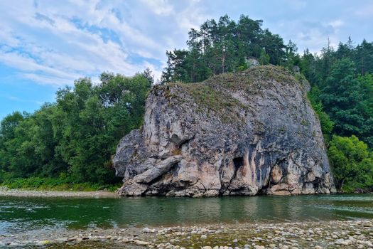 The rocks of the mountains in the greenery. A mountain river flows nearby