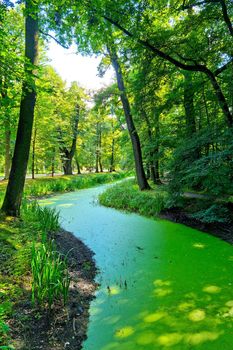 Green water in the canal in the park for walking