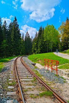 A picturesque railway track through a green forest