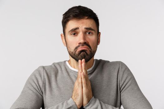 Miserable and sad cute grumpy bearded guy apologizing, press hands together in pray, asking mercy, say sorry, frowning looking guilty and upset, begging help, standing white background.