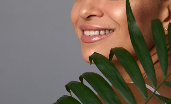 Cropped image of beautiful smiling woman with healthy clean fresh shiny skin and perfect smile holding palm leaf near her face, isolated over gray background with copy space for ad