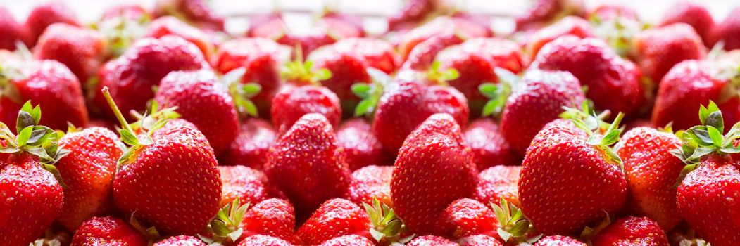Fresh juicy strawberries wide banner or panorama concept