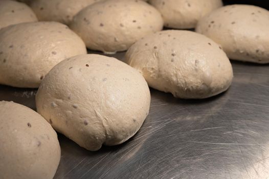 Close-up Homemade yeast dough buns for cutlets on a baking sheet. Hamburger buns dough pieces.