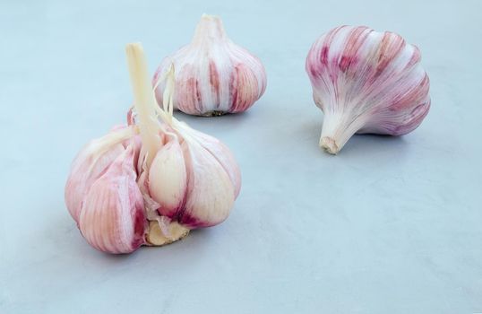 Three heads of fresh garlic lie on a blue background. Healthy food, prevention of respiratory diseases. Horizontal orientation, selective focus.