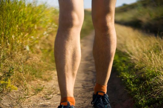 A young man jogging in the evening at sunset, an athlete runs along the road through the field, doing cardio workout outdoor.