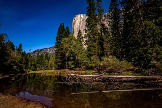 World famous rock climbing wall of El Capitan, Yosemite national park, California, usa