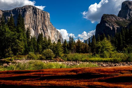 World famous rock climbing wall of El Capitan, Yosemite national park, California, usa