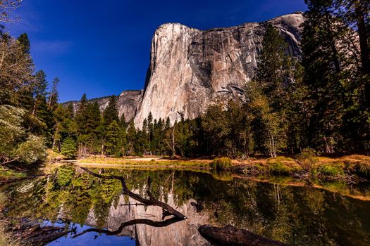 World famous rock climbing wall of El Capitan, Yosemite national park, California, usa