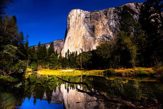 World famous rock climbing wall of El Capitan, Yosemite national park, California, usa