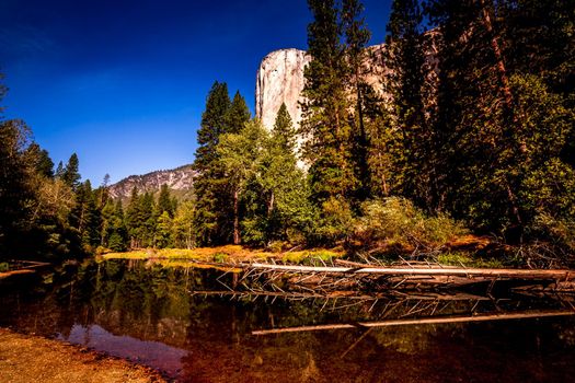 World famous rock climbing wall of El Capitan, Yosemite national park, California, usa