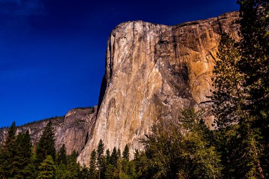 World famous rock climbing wall of El Capitan, Yosemite national park, California, usa