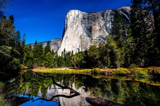 World famous rock climbing wall of El Capitan, Yosemite national park, California, usa