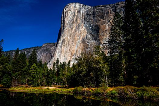 World famous rock climbing wall of El Capitan, Yosemite national park, California, usa