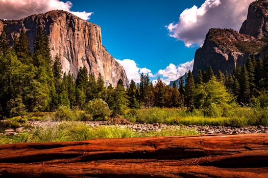 World famous rock climbing wall of El Capitan, Yosemite national park, California, usa