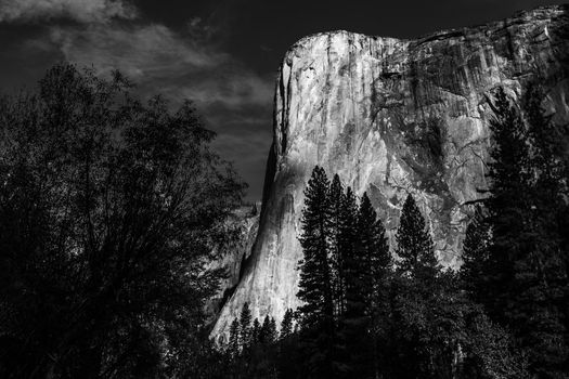 World famous rock climbing wall of El Capitan, Yosemite national park, California, usa