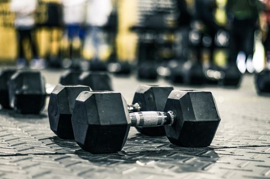 Sports dumbbells in modern sports club. Weight Training Equipment