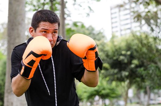 Male boxer with sports gloves training in the park outdoors