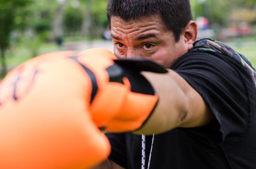 Professional boxer looking at the camera and throwing a punch