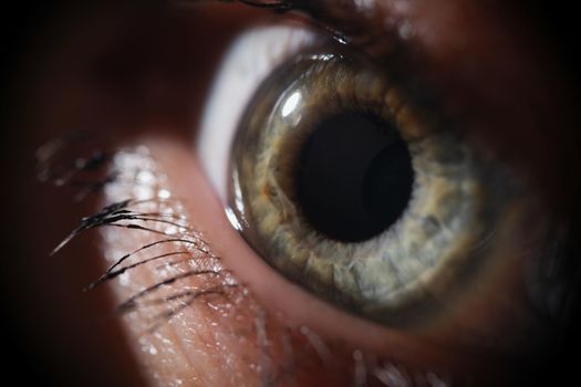 Female eye with eyelash macro photography, shadows. Scared woman look, close-up. Ophthalmology, green lens