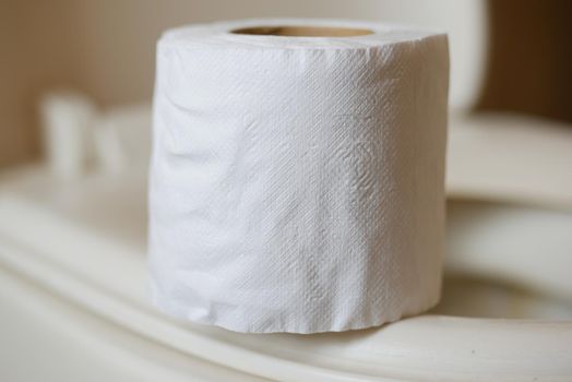 roll of toilet paper in toilet .